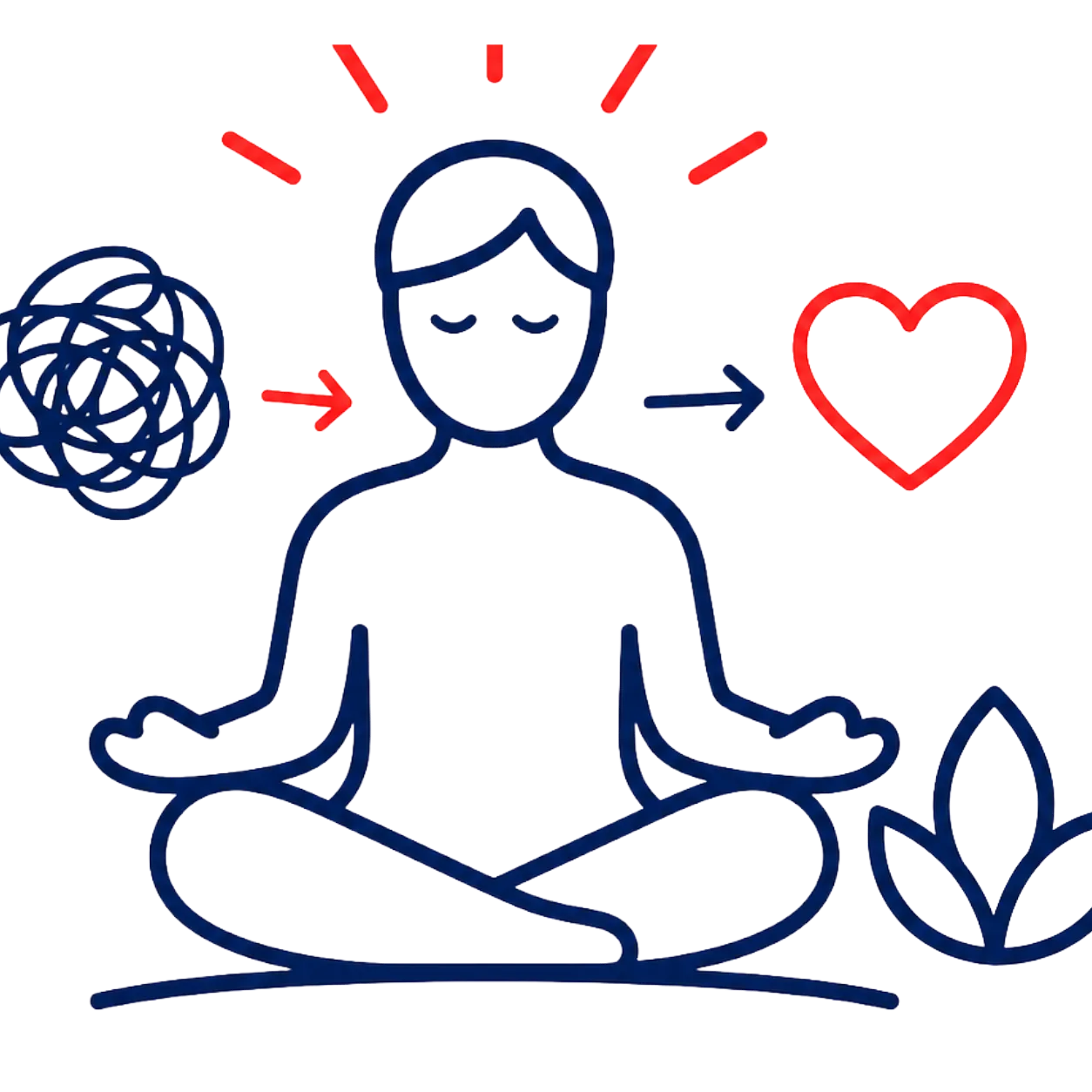 Stress Management & Wellness